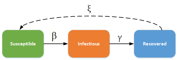 An illustration of SIRS model