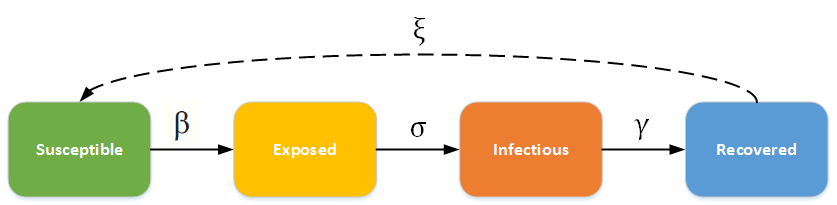 An illustration of SEIR model